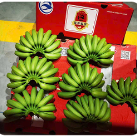 Chuối già nam mỹ