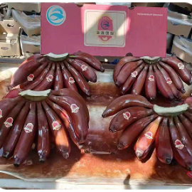 Chuối già nam mỹ