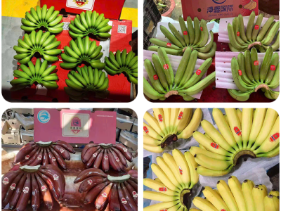 Chuối già nam mỹ