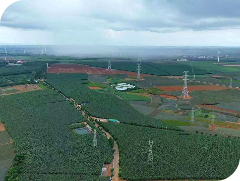 CÔNG TY TNHH ZHANG XIN GUO JI VIỆT NAM