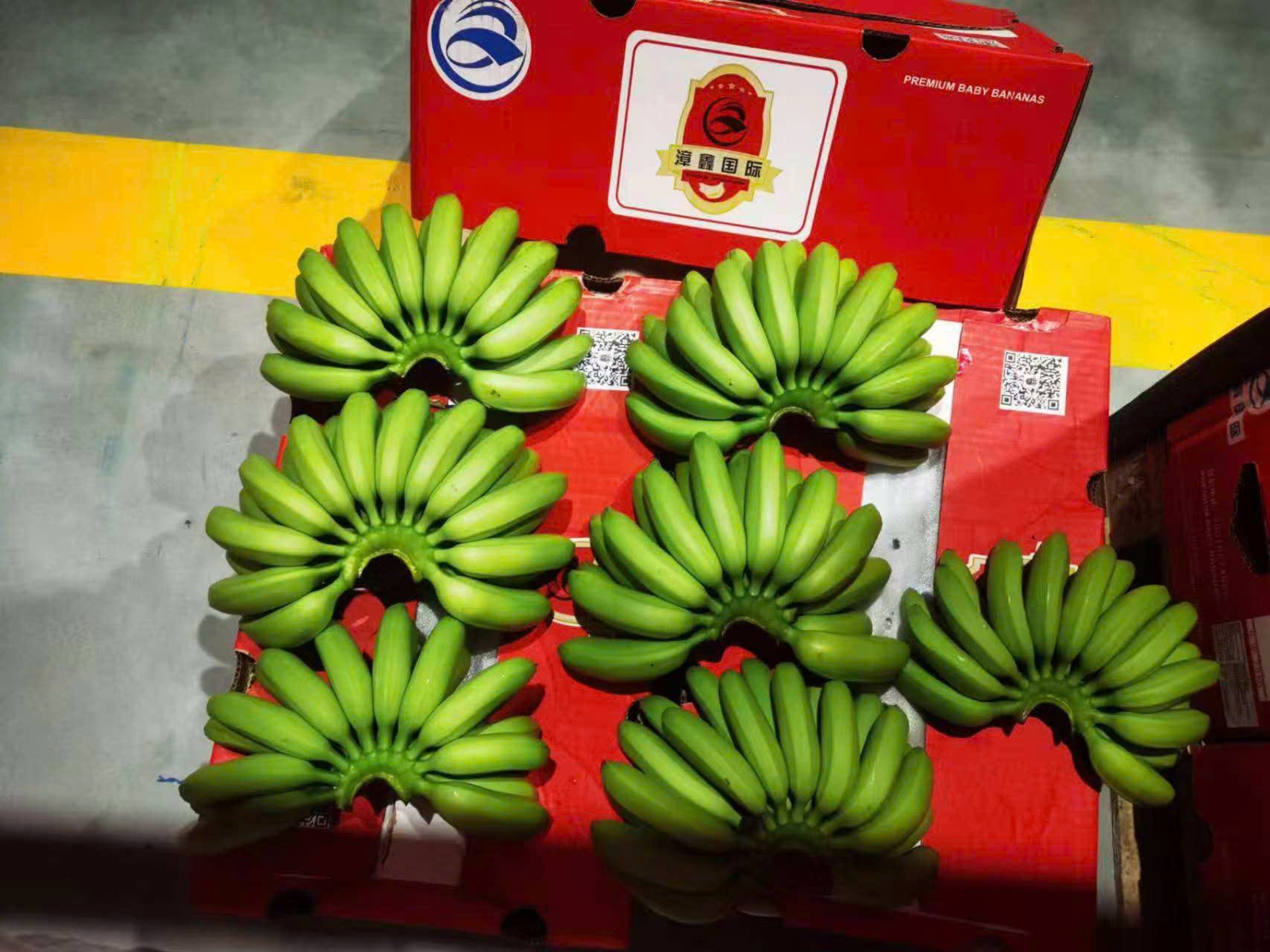 Hỗ trợ khách hàng